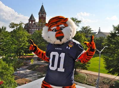 Why Auburn University's Mascot Represents the Team's Strength and Determination